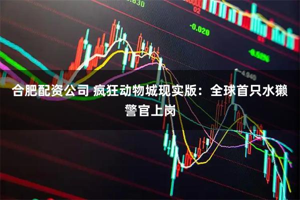 合肥配资公司 疯狂动物城现实版：全球首只水獭警官上岗