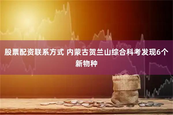 股票配资联系方式 内蒙古贺兰山综合科考发现6个新物种